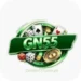 GN55 Game